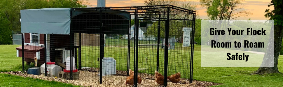 chicken run